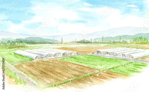 ビニールハウスが見える風景　水彩画