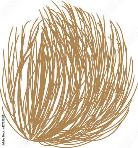 Tumbleweed 