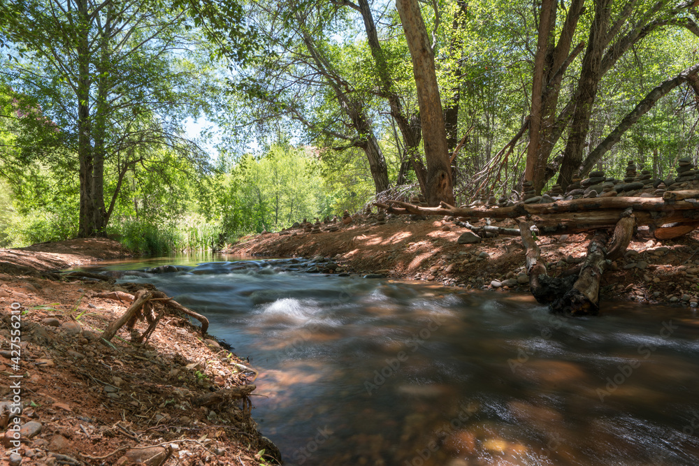 Obraz premium stream in the Arizona forest
