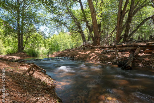 stream in the Arizona forest