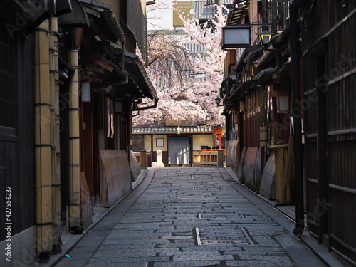 Kyoto,Japan-April 3, 2021: Kyoto Gion Kiritoshi towards Tatsumi bridge in the morning
 photo