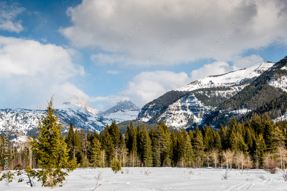 Teton from Targhee National Forest Teton from Targhee National Forest