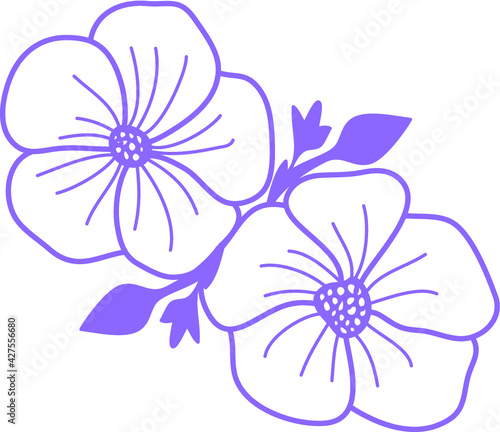 Frangipani Flowers