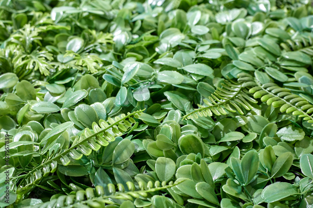 Obraz premium Hanging Garden