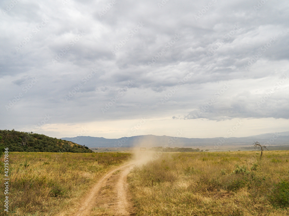 Road for Safari through Lake Nakuru National Park, Kenya, Africa