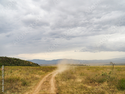 Road for Safari through Lake Nakuru National Park  Kenya  Africa