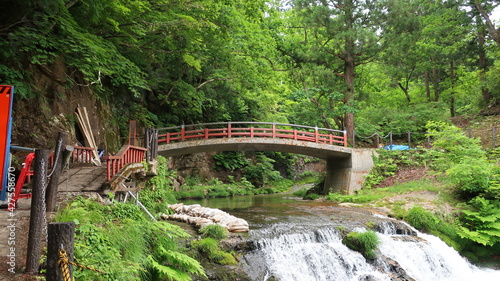 Old bridge and nature