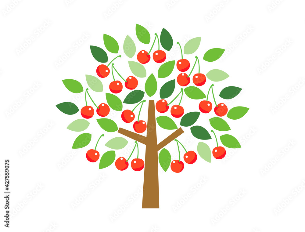 Fototapeta premium さくらんぼの木