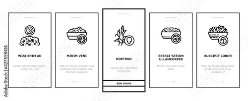 Groats Natural Food Onboarding Mobile App Page Screen Vector. Amaranth And Artek, Rice And Corn, Beans And Couscous, Peas And Quinoa Groats Illustrations