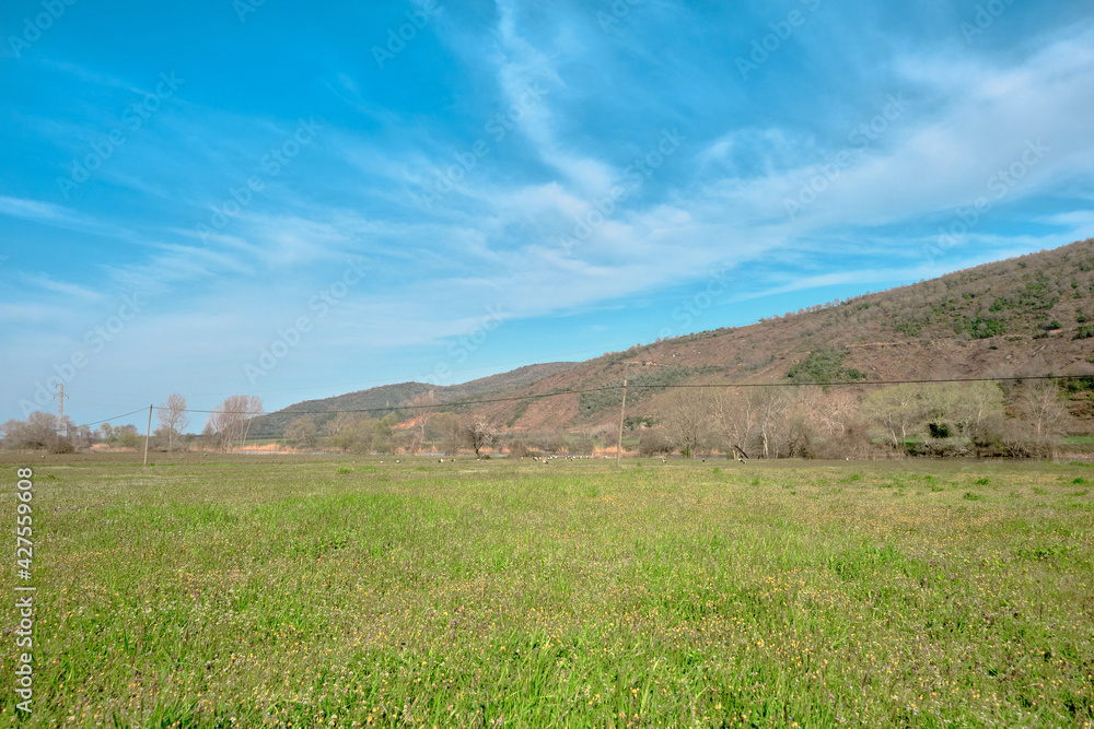 Fototapeta premium Agricultural field in Karacabey Bursa with small hill and blue sky background.