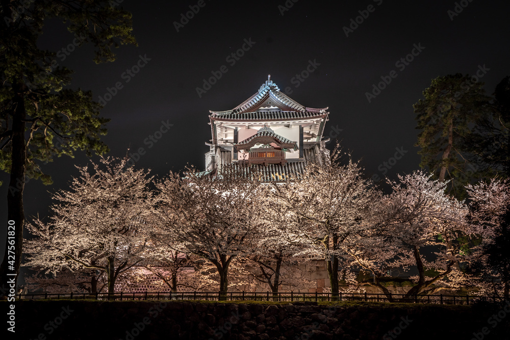 Fototapeta premium 金沢城と夜桜