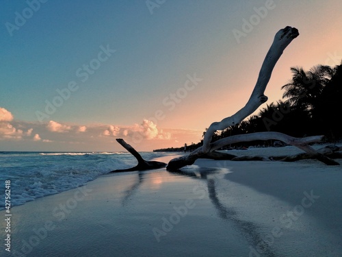 sunset on the beach