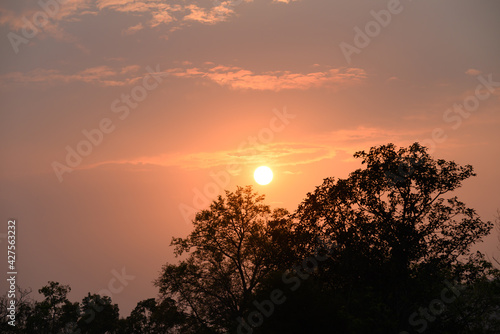 Beautiful vanilla sky with clouds and sunlight before sunset above tree, Nature background