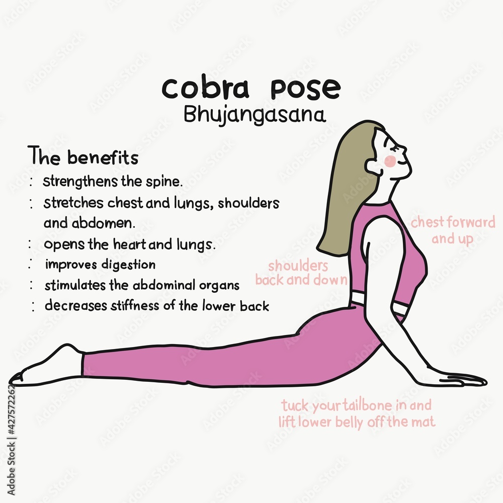 Cobra yoga pose Free Stock Photos, Images, and Pictures of Cobra yoga pose