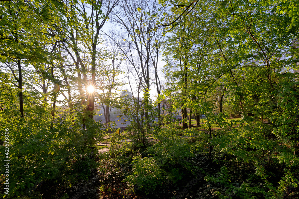 Fototapeta premium Petits bois park in Grand Paris Area. Ivry-sur-Seine