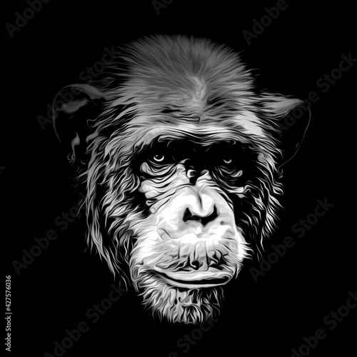 Canvas Print portrait of a Chimpanzee head on black