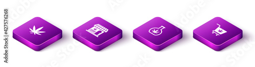 Set Isometric Marijuana or cannabis leaf, and store, Test tube with marijuana and Shopping cart icon. Vector