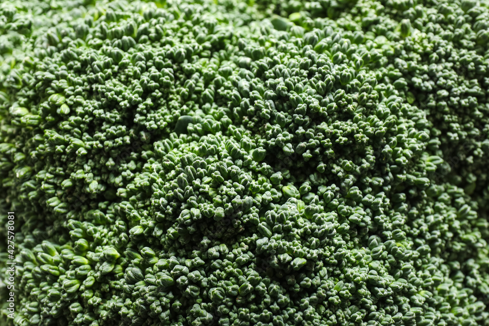 Fresh broccoli as background, closeup Fresh broccoli as background, closeup