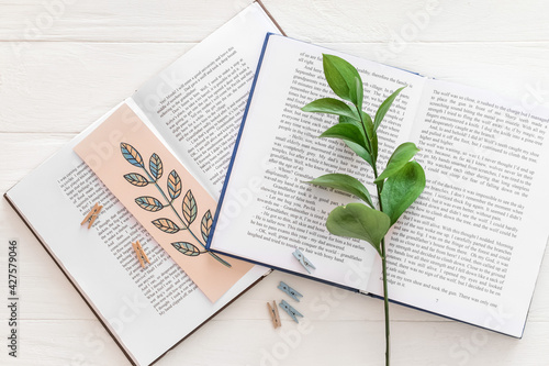 Books with bookmark and bra...