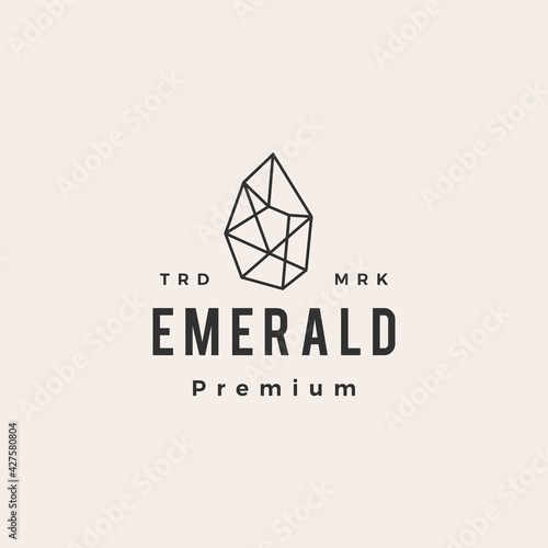emerald gem stone hipster vintage logo vector icon illustration