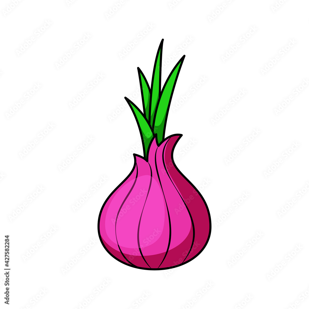 onion vector isolated on white background.