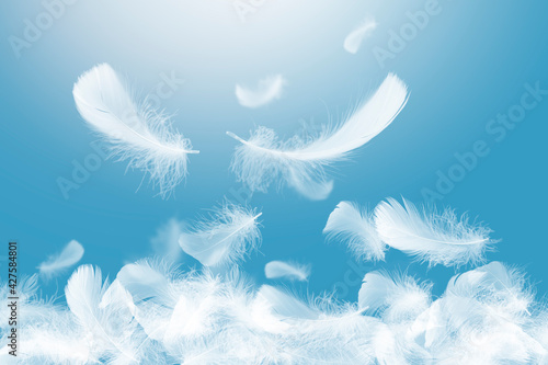 Beautiful Soft and Light Group of White Feathers Falling in The Air. 