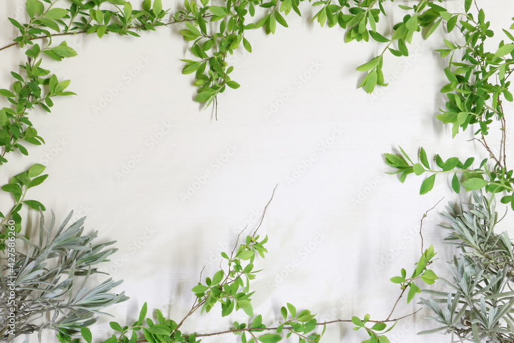 白い背景と小さな葉 white background and small leaves 4 白い背景と小さな葉 white background and small leaves 4