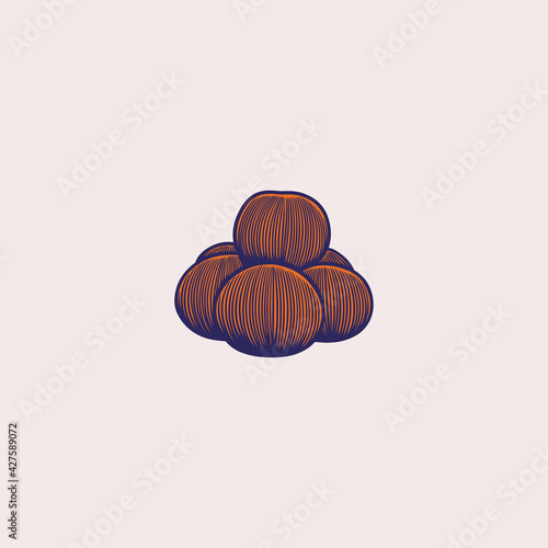 Vector oranges hand drawn c...