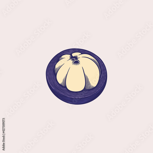 Mangosteen exotic fruits, v...