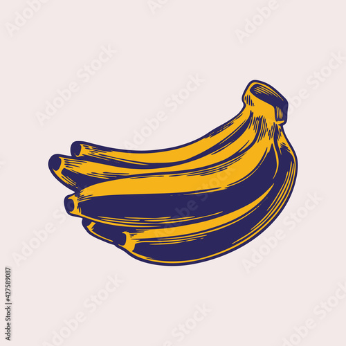 Banana hand drawn vintage engraving. Yellow fruits, a bunch of bananas. Tropical fruits, banana snack or vegetarian nutrition theme in retro sketches isolated. Vector illustration art