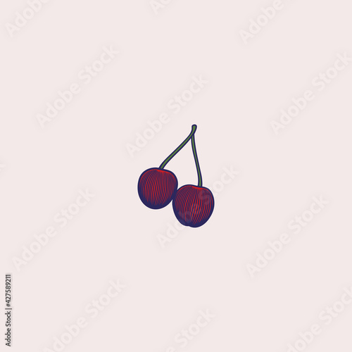 Cherry vector drawing. Isol...