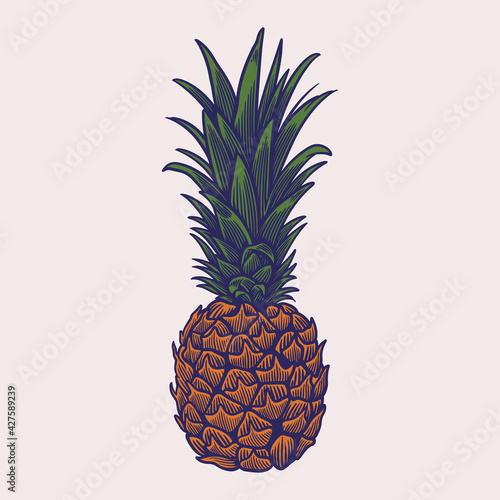 Pineapple fruit hand drawn ...