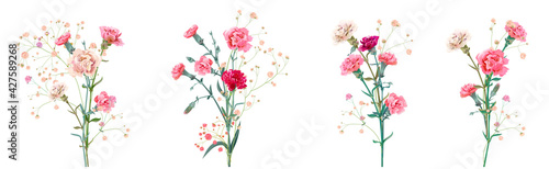 Panoramic view with carnation. Set red, pink, white flowers, gypsophila twigs, white background, collection for Mother's Day, Victory Day, digital draw, vintage illustration, vector, watercolor style
