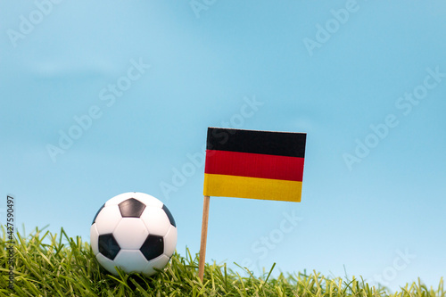 Soccer ball with German flag are on green grass