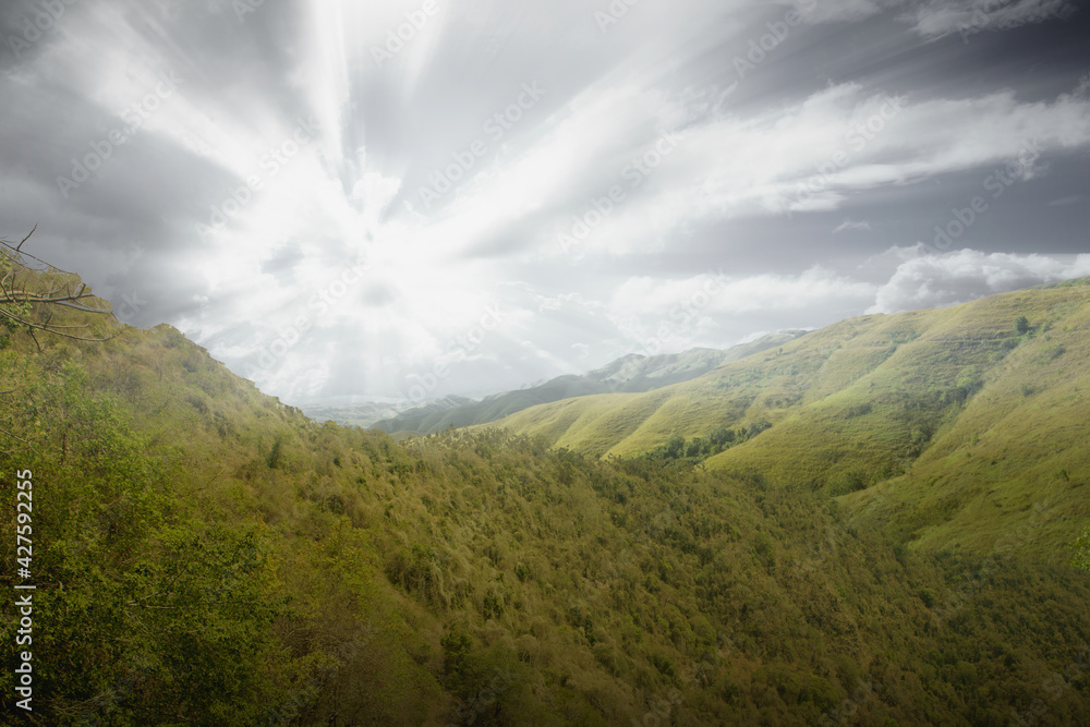 Fototapeta premium Green hills with landscape view