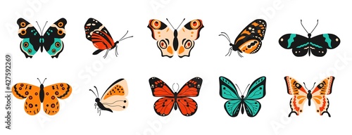 Cartoon butterflies. Colorful spring and summer flying insects with pattern elements on wings. Vector isolated set