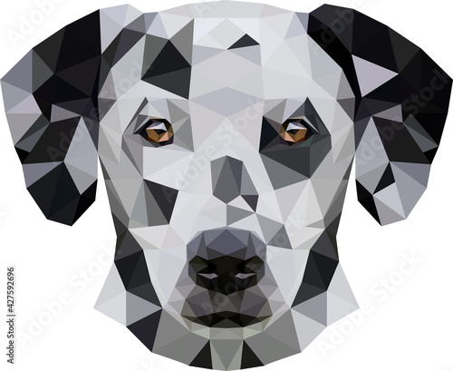 Portrait of a dog of breed Dalmatian in low poly style. Very friendly and kind. Vector illustration