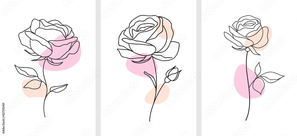 One line drawing. Decorative beautiful english garden rose with bud and color spots. Minimalist hand drawn sketch. Vector stock illustration.	 - obrazy, fototapety, plakaty 