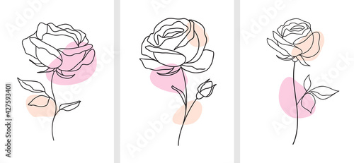 One line drawing. Decorative beautiful english garden rose with bud and color spots. Minimalist hand drawn sketch. Vector stock illustration.	