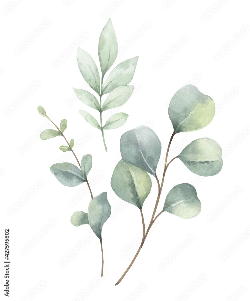 Watercolor vector arrangement of green branches and leaves.