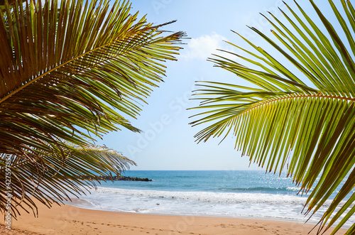 Palm leaves on a tropical beach, selective focus. © MaciejBledowski