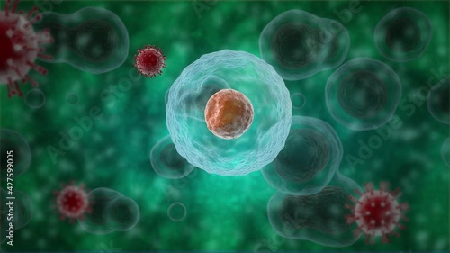 3d animation of many cells, microorganisms. The virus enters the cell and multiplies. The cell dies. Animation for medical and scientific compositions, banners.