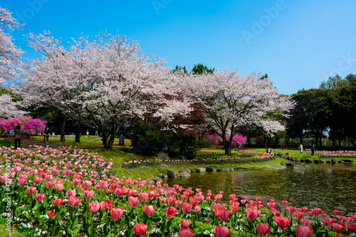 別府公園