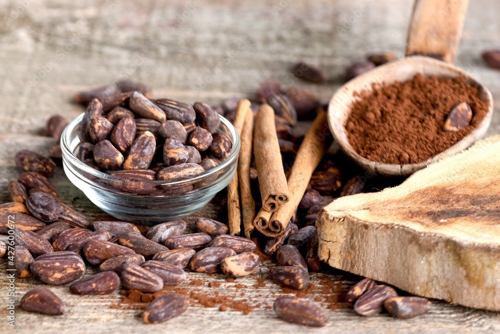 Cocoa beans in a glass bowl on a wooden background and sprinkled on the floor. Powdered cocoa and cinnamon sticks in a spoon Cocoa beans in a glass bowl on a wooden background and sprinkled on the floor. Powdered cocoa and cinnamon sticks in a spoon