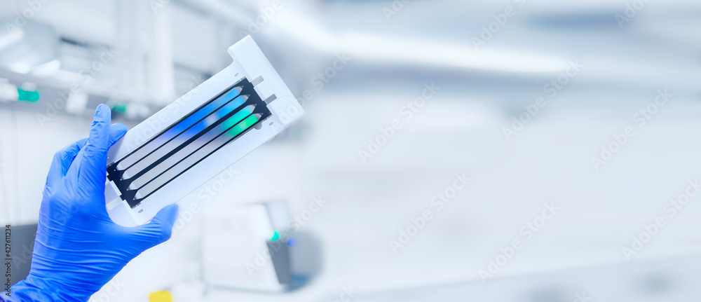 next generation sequencing flow cell. genetic engineering, genetic modification, designer baby and cloning concept. cancer screening and medical technology and therapy. banner with copy space