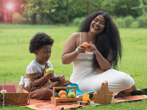 Cute little mixed race African boy with Afro hairstyle and mom picnic in the park together. Mother laughing at how ittle boy making funny face after tasting green apple. photo