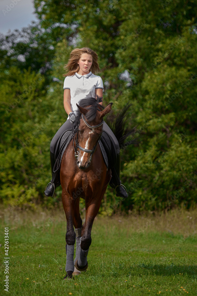 A girl rider trains riding a horse on a spring day.