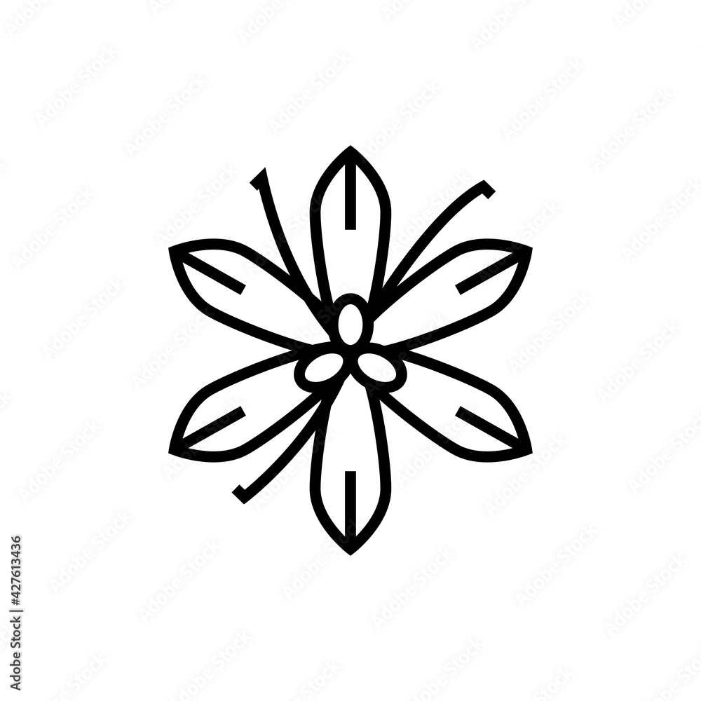 Fototapeta premium Star anise plant black line icon. Seasoning vector illustration. Isolated contour of orthopedics diseases on white background. Editable stroke