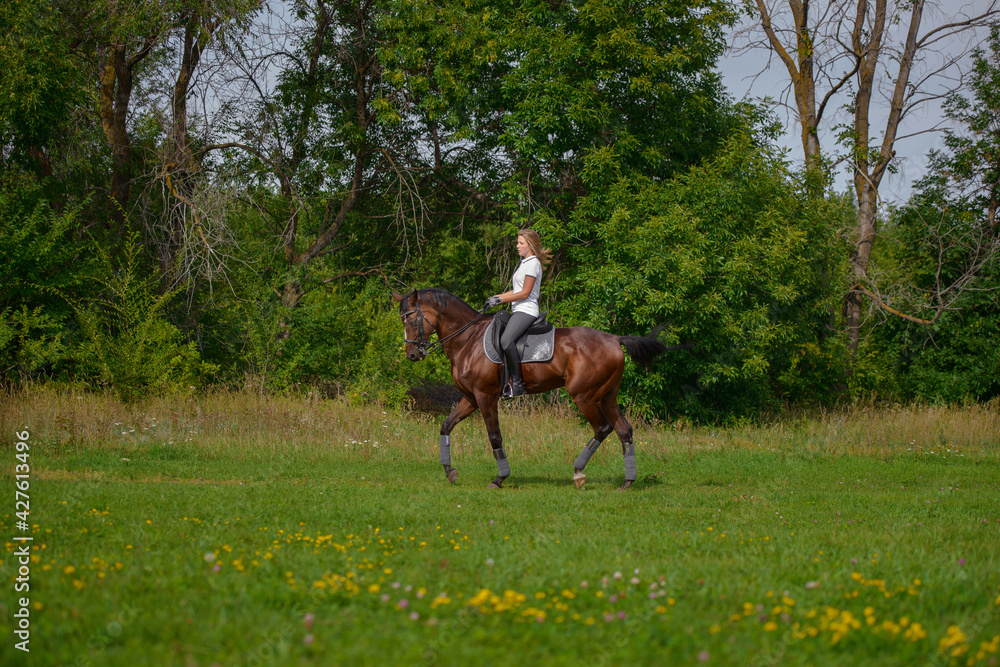 A girl rider trains riding a horse on a spring day. A girl rider trains riding a horse on a spring day.