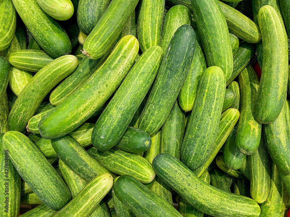 Macro photo of fresh cucumber for backgrounds concept Macro photo of fresh cucumber for backgrounds concept